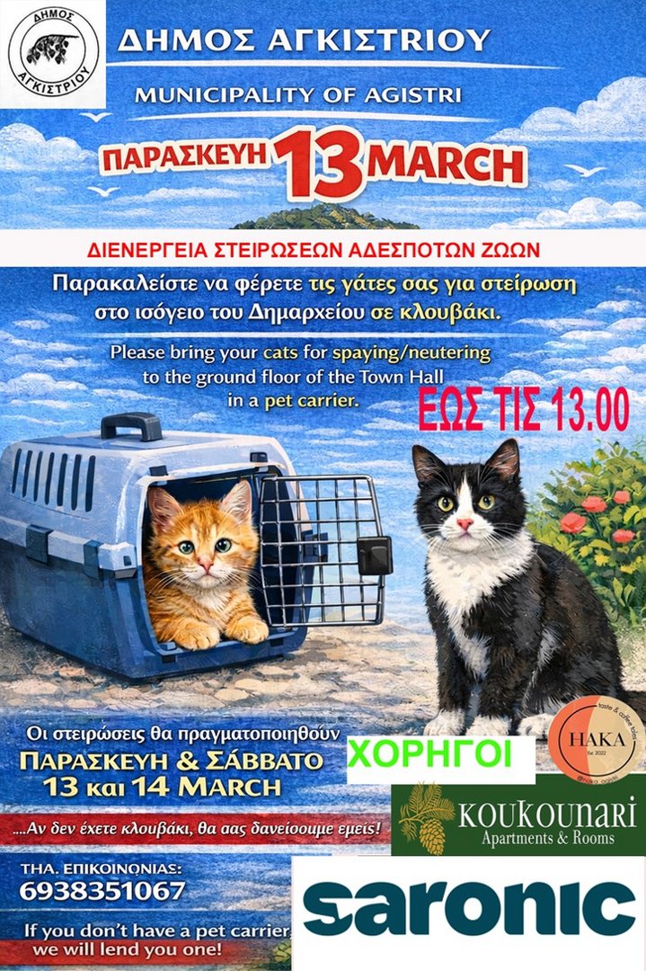 Δράση στείρωσης αδέσποτων γατών στο Αγκίστρι